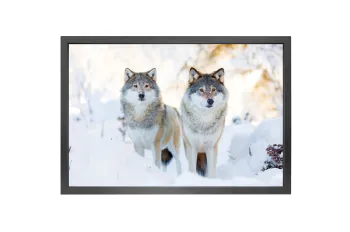 Hovedbilde Canvas bilder