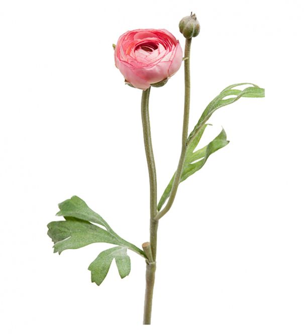 Hovedbilde Ranuncel 34 cm pink kunstig 