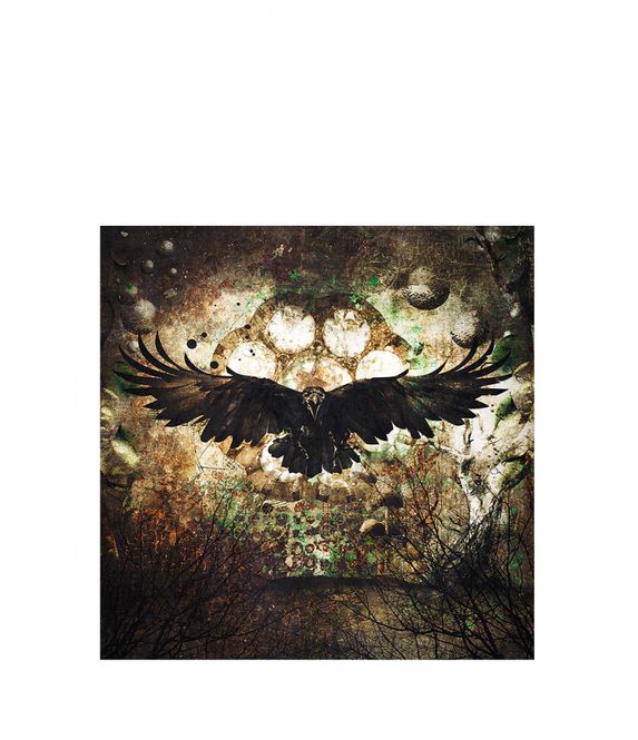 Hovedbilde RAVEN GN8569 100*100  printet på plexi