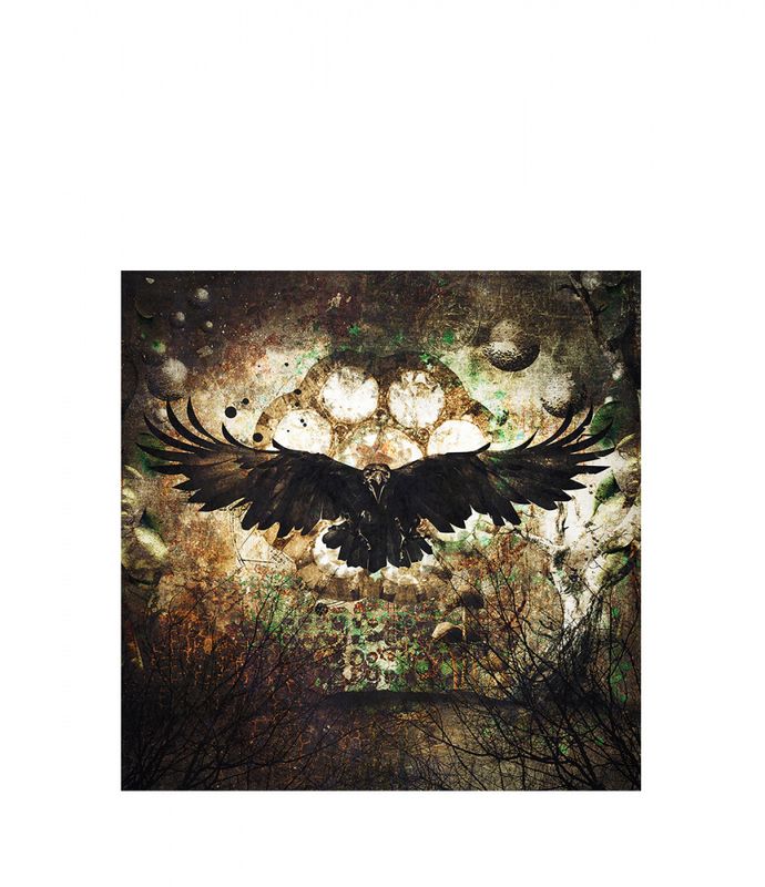 RAVEN GN8569 100*100  printet på plexi